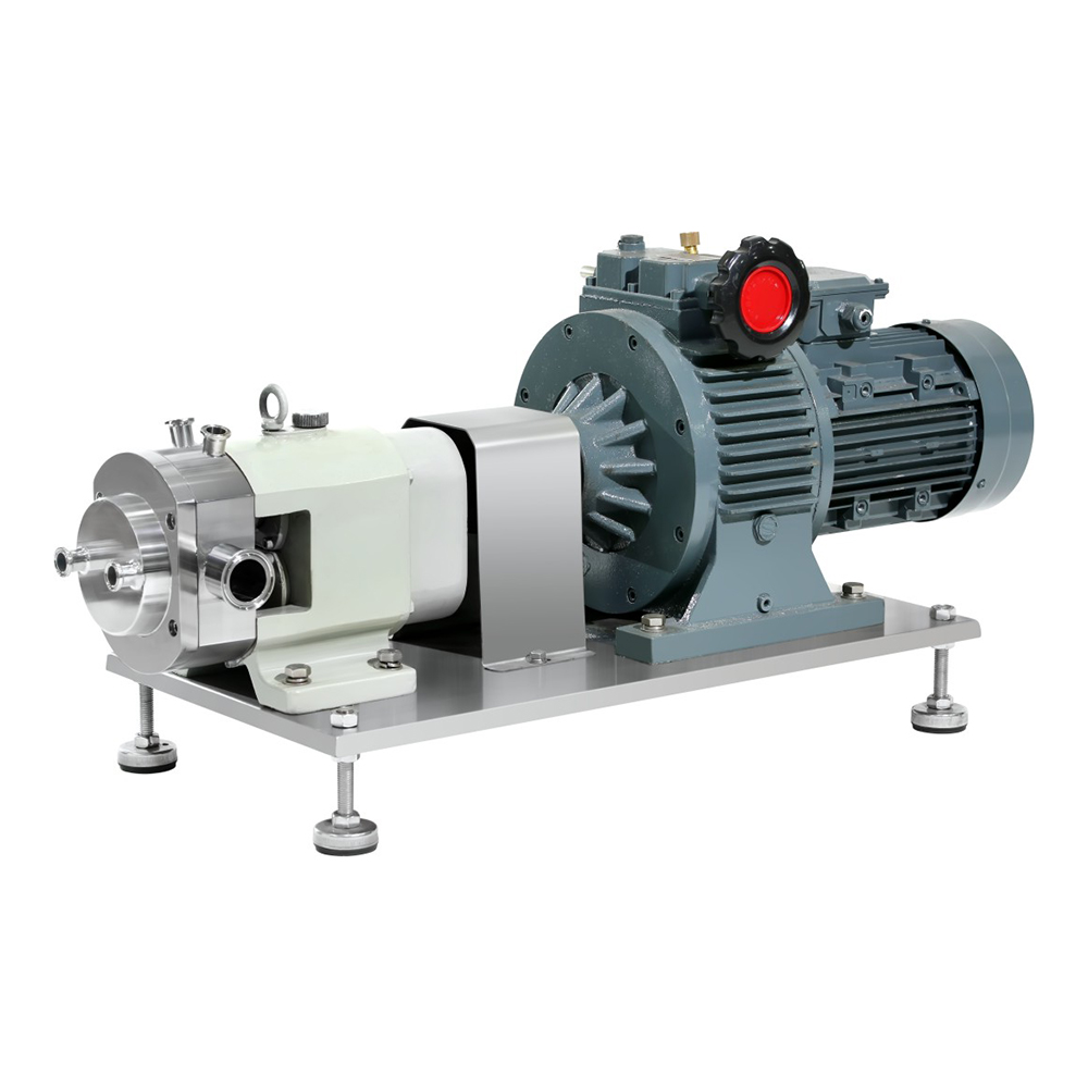 Insulated rotor pump